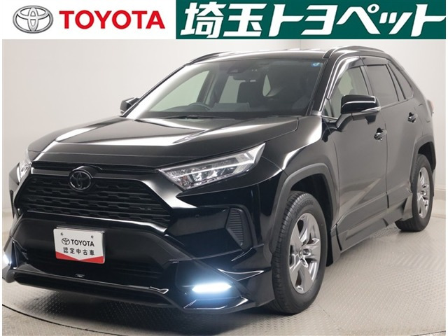 RAV4 2.0 X 