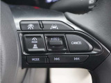 ◆アダプティブクルーズコントロール◆予め設定した車速内でクルマが自動的に加減速。前走車との適切な車間距離を維持しながら追従走行します。【LKAS】車線維持支援システムでステアリング操作を支援。