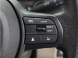 ◆アダプティブクルーズコントロール◆予め設定した車速内でクルマが自動的に加減速。前走車との適切な車間距離を維持しながら追従走行します。【LKAS】車線維持支援システムでステアリング操作を支援。