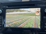 TVもご覧いただけます(^^)/