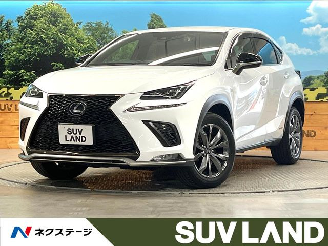 NX 300h Fスポーツ