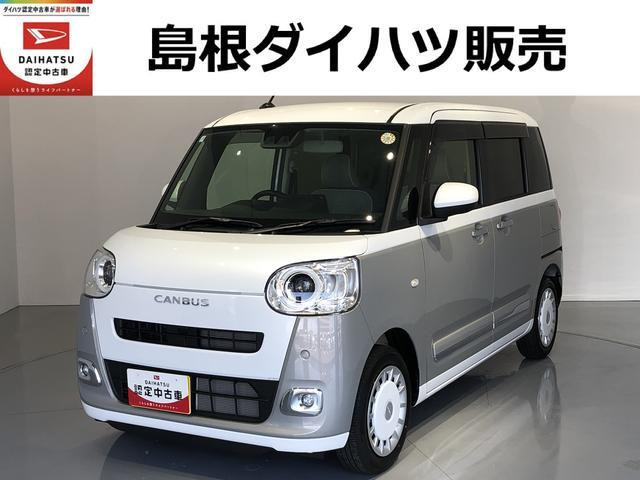 ムーヴキャンバス  ストライプス G