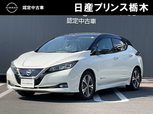 リーフ X 