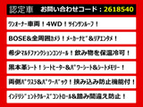 エルグランド 3.5 VIP 4WD サンルーフ 4WD BOSE リアエンタ 黒本革