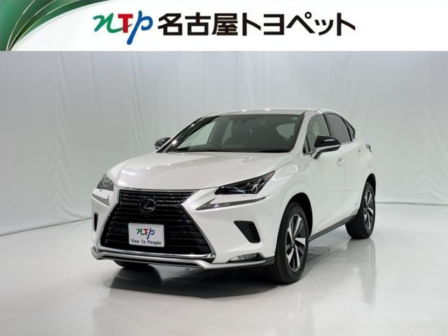 NX 300h スパイス&シック