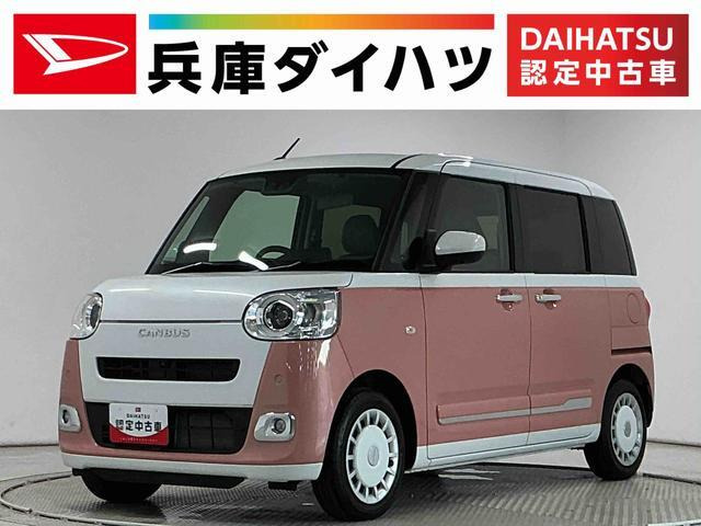 ムーヴキャンバス  ストライプス G