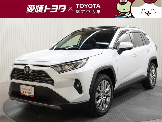 RAV4  2.0 G Zパッケージ 4WD