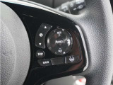 ◆アダプティブクルーズコントロール◆予め設定した車速内でクルマが自動的に加減速。前走車との適切な車間距離を維持しながら追従走行します。【LKAS】車線維持支援システムでステアリング操作を支援。