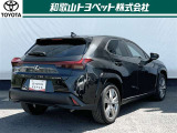 UX 250h グレイスフル エクスプローラー 