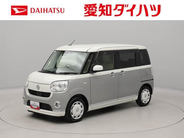 ムーヴキャンバス G メイクアップ リミテッド SAIII 