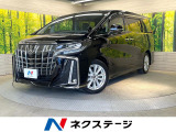 9型BIG-Xナビ 後席モニター バックカメラ 電動スライドドア
