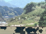 【カラーヘッドアップディスプレイ】現在の速度や走行情報をデジタル表示で運転席前方のガラスに投影!カラー付きで視認性も高く、運転中目線をずらさず必要な情報を確認できるのでとっても便利で安心!