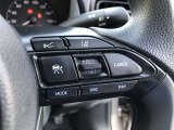 【ステアリングスイッチ】右です。ハンドルから手を離さず、運転に集中したまま手元でマルチインフォメーションディスプレイ内の表示切替などができます。