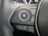 ステアリングスイッチ付き。前方から目を離すことなく操作することが可能です
