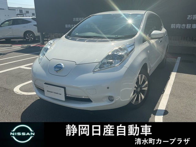 リーフ30kWh G
