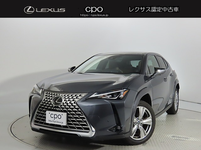 UX 250h グレイスフル エクスプローラー 