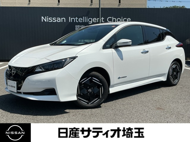 リーフ X 