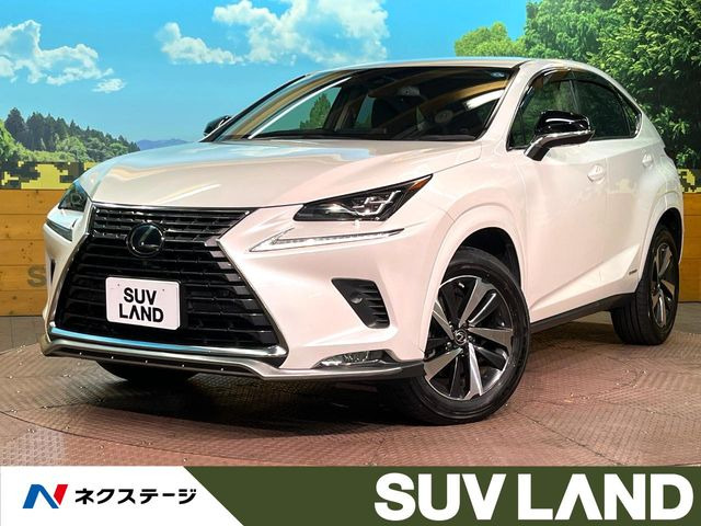 NX 300h スパイス&シック