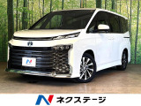 プロジェクターLEDヘッドライト 両側電動スライドドア ETC