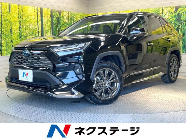 RAV4 2.5 ハイブリッド G E-Four 4WD （6AA-AXAH54）
