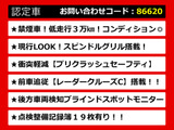 IS 300h バージョンL 禁煙 スピンドル LDAプリクラッシュ