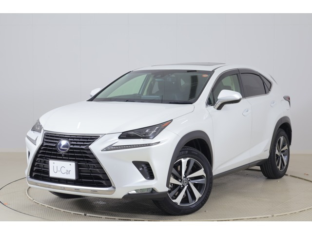 NX 300h バージョンL 