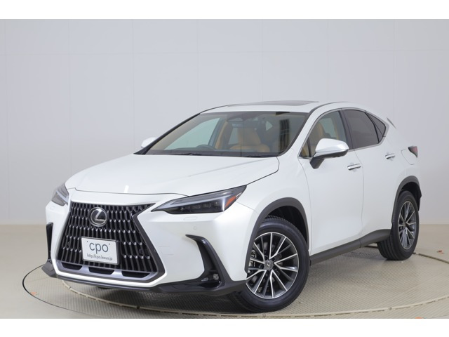 NX 250 バージョンL NX 250 バージョンL