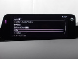 メーカーオプションTVチューナー付!