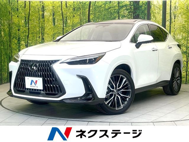 NX 250 バージョンL 