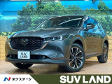 10型ナビ 全周囲カメラ レーダークルーズ 黒革シート シートヒーター