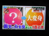 地デジチューナー搭載。