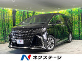 モデリスタエアロ ガラスルーフ 禁煙車 後席モニター