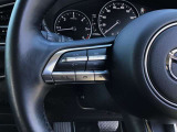 オーディオリモコンスイッチ付き。ステアリングから手を離さなくていいので、運転に集中できます。