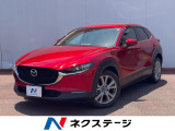 MT車 360&deg;ビューモニター レーダークルーズコントロール ETC