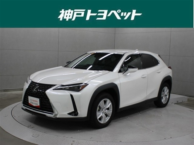 UX 250h バージョンC 