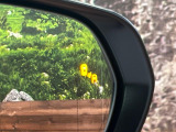 【ブラインドスポットモニター】走行中、ドアミラーの死角になりやすい箇所に後続車が接近するとサイドミラーのレンズに警告を表示!ドライバーに注意喚起をしてくれます。