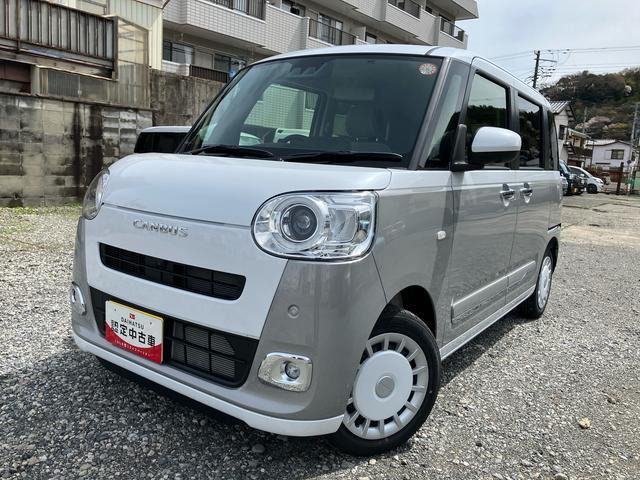 ムーヴキャンバス  ストライプス G