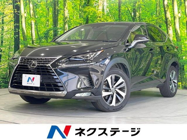 NX 200t Iパッケージ 