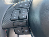 ハンドルに装備されたスイッチで、オーディオの音量やチャンネルなどを操作でき、運転中でも安心です。