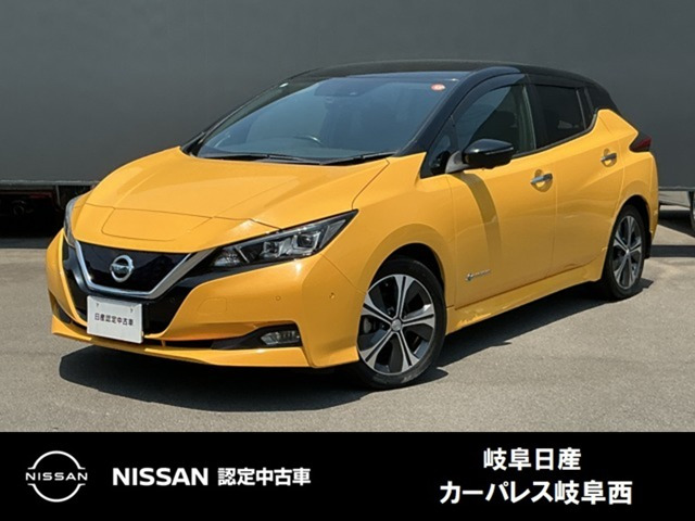 リーフ G 