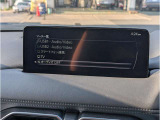 フルセグTV/12.3インチセンターディスプレイ