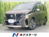 登録済未使用車 純正12型ナビ 全周囲カメラ 両側電動ドア