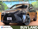 全周囲カメラ 赤革 レーダークルーズ ブラインドスポットモニター ETC