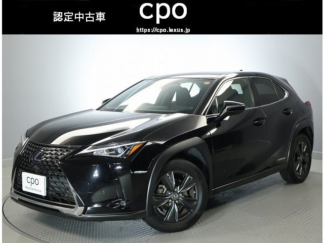 UX 250h バージョンC
