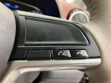 ステアリングスイッチ付き。前方から目を離すことなく操作することが可能です。