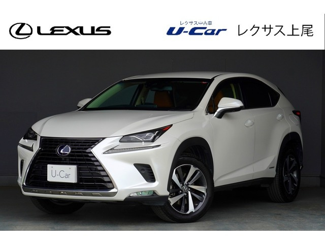 NX 300h バージョンL 