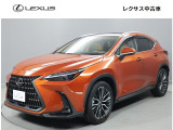 *こちらの商品は、購入後の点検などを当店舗でお受けいただけるお客様への販売に限らせていただきます。