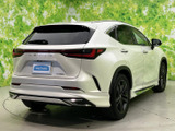 NX 250 バージョンL 