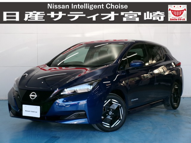 リーフ X 