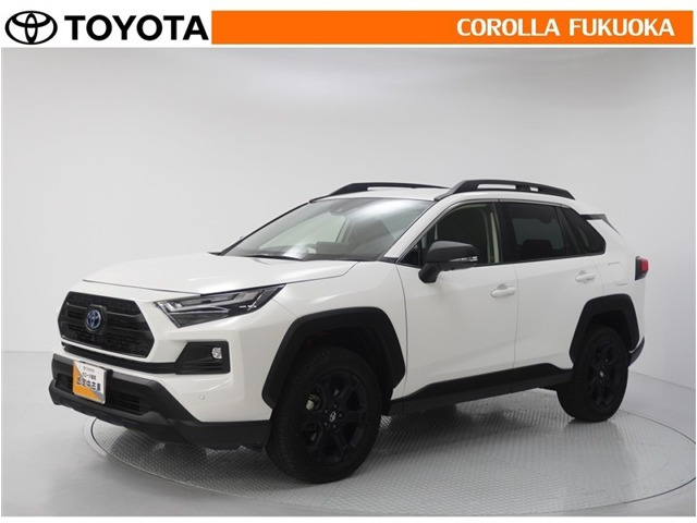 RAV4 2.5 ハイブリッド アドベンチャー オフロードパッケージ II E-Four 4WD （6AA-AXAH54）